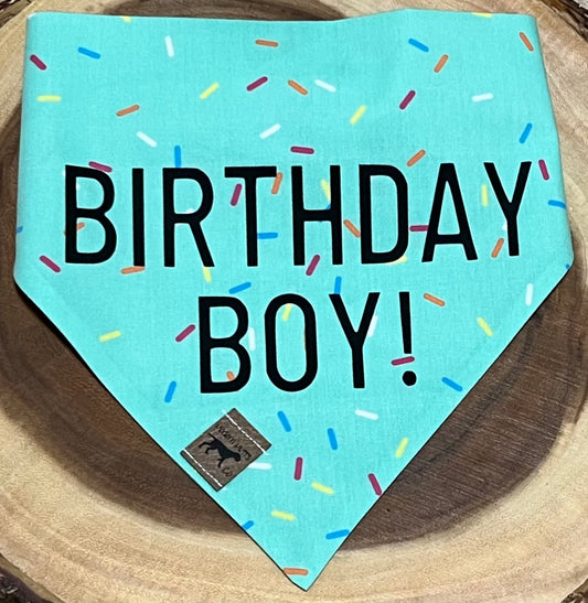 Birthday Boy/Girl Sprinkle Scrunchie Bandana